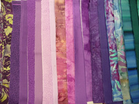 Strips'n Curves