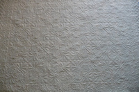 Renata Lehmann - Hunter Star