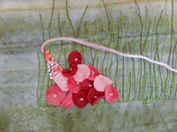 Gestickte Blumenbilder