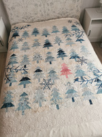 IMG_20250316_142303.jpg