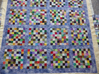 Daisies